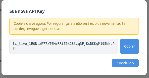 Janela de nova API Key no painel, com o botão para copiar a chave